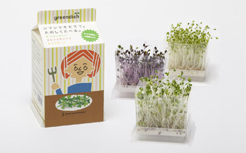 大切な人へグリーンで気持ちを届けよう、一味変わった愛の伝え方