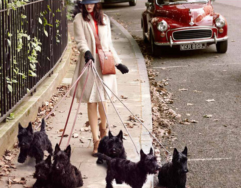 イギリスNo.1 バッグブランド、ラドリー期間限定ショップが再登場