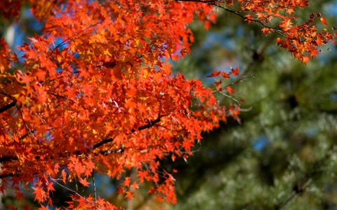 簡単にできる!　秋冬の華やかメイクテクニック3つとは？