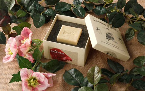 ガミラシークレットから、「ワイルドローズ」が数量限定発売