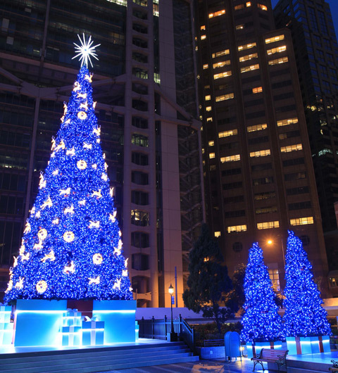 イルミネーションがロマンティック！「香港ウインター･フェスタ」開催中