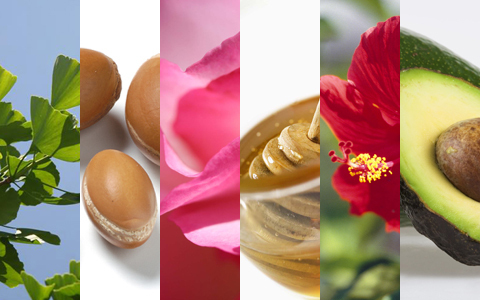 メルヴィータ、お得な新年お楽しみBOXを販売