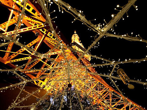 本物のモミの木が飾られるジャンボツリー