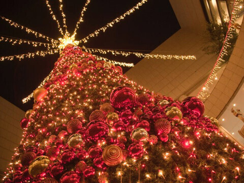 見ないと後悔する、赤とゴールドのクリスマスツリー