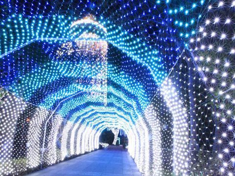 幻想的な江ノ島のシーキャンドル