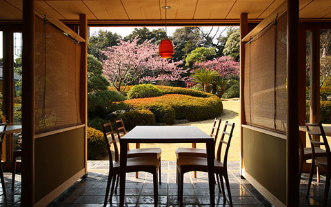 ひと足早く春を感じる、「いづみ荘」伊東温泉で早春お花見会