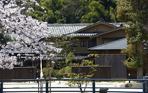 桜を愛でる旅、「星野リゾート・界」春爛漫の日本旅