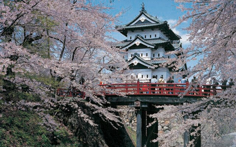 桜を愛でる旅、「星野リゾート・界」春爛漫の日本旅
