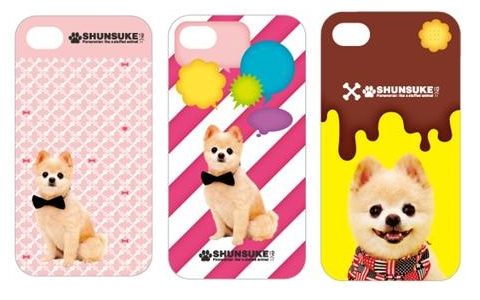 ツイッターで話題のアイドル犬「俊介」がケースに