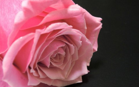 五感を生かして美しくなれる方法【前編】