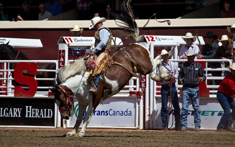 「今すぐロッキー！キャンペーン」賞品にエア・カナダの成田発カルガリー往復航空券も