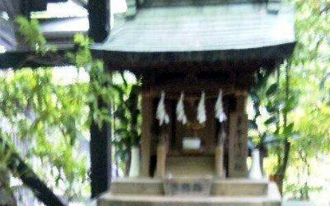 アンリ流パワースポットの巡り方「東京のおへそにありがたいご利益あり、大宮八幡宮」