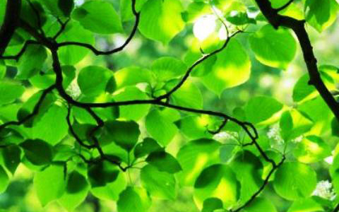 恋愛運アップ、まずは出会い運をあげる？