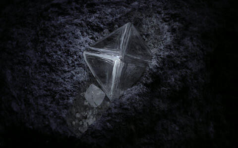 ジュエリーブランド「NIWAKA」、スペシャルムービーを公開中