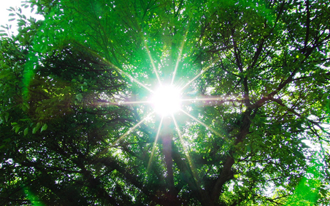 意外とケアしていない人が多い！　ビューティマニアの間で話題の髪の紫外線ケア