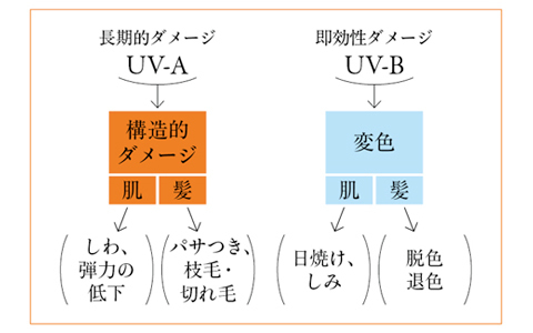 意外とケアしていない人が多い！　ビューティマニアの間で話題の髪の紫外線ケア
