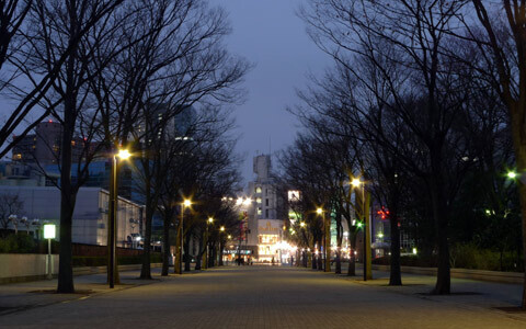 代々木公園ケヤキ並木通りに、巨大ランウェイ出現！