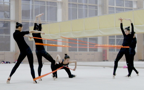 女性アスリートたちの熱き夢への覚悟を見よ！NHK BS１の4夜連続・五輪スポーツドキュメンタリー