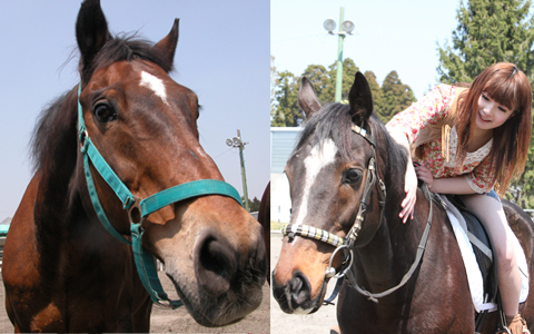 新生活スタートにあわせて、シェイプアップ効果もある習い事にチャレンジ！