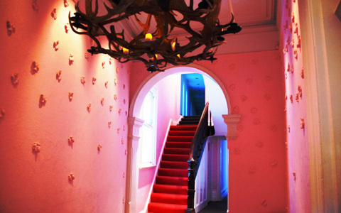 シドニーステイもLGBTQIフレンドリーに。ホテル「メデューサ」