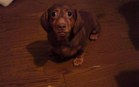 「ライフスタイルの充実」が結婚から遠ざかる理由