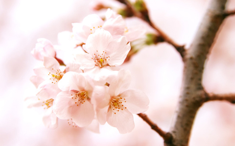 ホームレスになってしまった芸能人、岸田健作のゼロからのスタート～ 物事の0 ～