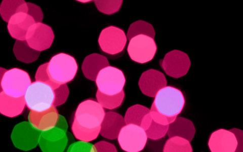 ホームレスになってしまった芸能人、岸田健作のゼロからのスタート～ 物事の0 ～