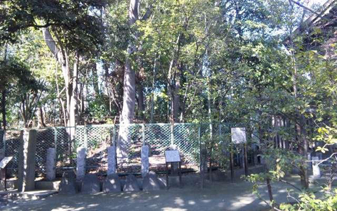 アンリ流パワースポットの巡り方「はじまりの季節、新田神社で一足先に開運」