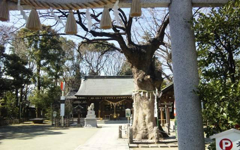 アンリ流パワースポットの巡り方「はじまりの季節、新田神社で一足先に開運」