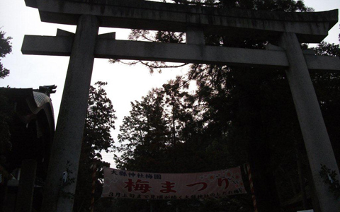 アンリ流パワースポットの巡り方「尾張二宮、女性に嬉しいご利益の大縣神社」