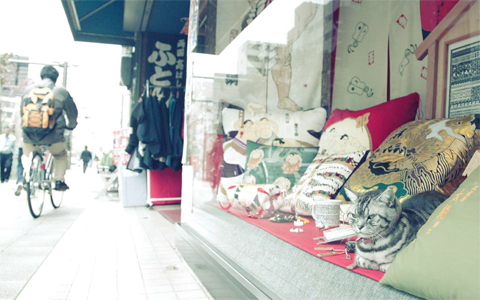 ねこ好きなら、ついニヤけ顔になってしまう、「吾輩は看板猫である」東京下町編