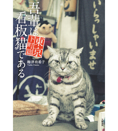 ねこ好きなら、ついニヤけ顔になってしまう、「吾輩は看板猫である」東京下町編