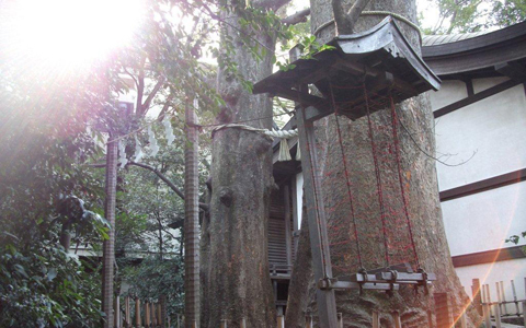 アンリ流パワースポットの巡り方「運命の赤い糸はここに？川越、氷川神社」