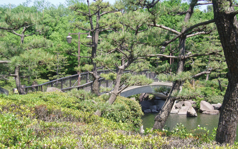超穴場！自然散策からデイキャンプまで遊び方いっぱいの、しながわ区民公園