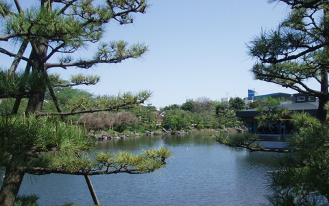 超穴場！自然散策からデイキャンプまで遊び方いっぱいの、しながわ区民公園