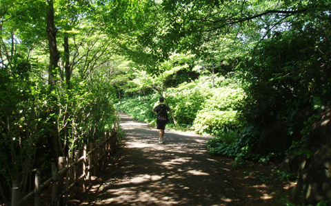 超穴場！自然散策からデイキャンプまで遊び方いっぱいの、しながわ区民公園