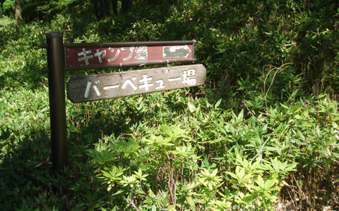 超穴場！自然散策からデイキャンプまで遊び方いっぱいの、しながわ区民公園