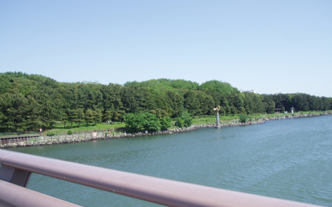 超穴場！自然散策からデイキャンプまで遊び方いっぱいの、しながわ区民公園