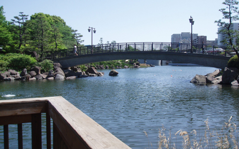 超穴場！自然散策からデイキャンプまで遊び方いっぱいの、しながわ区民公園