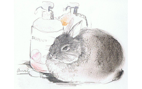 あなたはロング派、ショート派？恋愛運を上げる勝負ヘアースタイルとは？