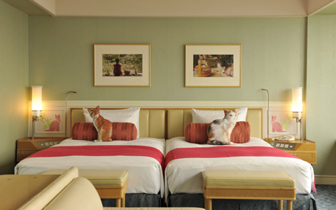 スイートルームが猫のへやに大変身