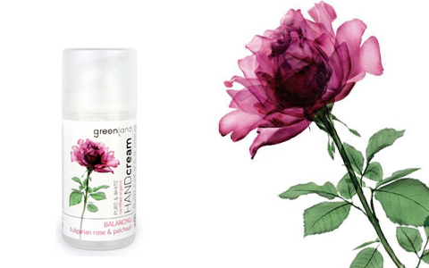 花の大地、オランダのエコビューティー「グリーンランド」が日本初上陸