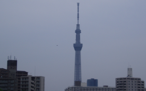 スカイツリーを見ながら下町ジョギング