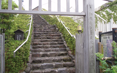 スカイツリーを見ながら下町ジョギング