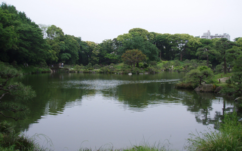 スカイツリーを見ながら下町ジョギング