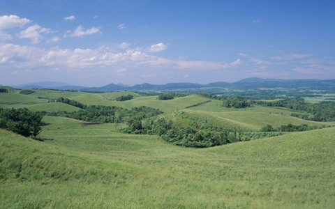 美人力を高めるヒントとは？