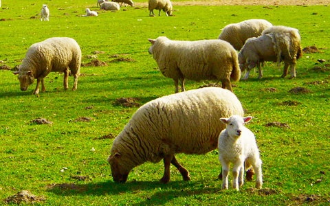 頼りない男性に惹かれてしまう理由