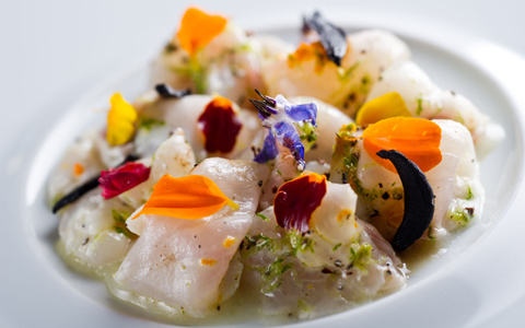 夏のお台場が、南フランスのプロヴァンスに