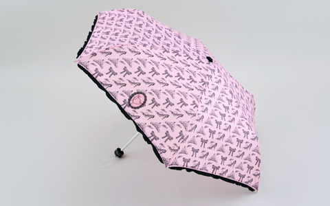 雨の日が楽しくなる、ディズニーのレイングッズ