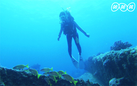 NHK BSプレミアム・2夜連続！仲間由紀恵、初の長期ドキュメンタリー！